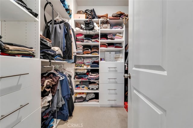 walk in closet with light colored carpet