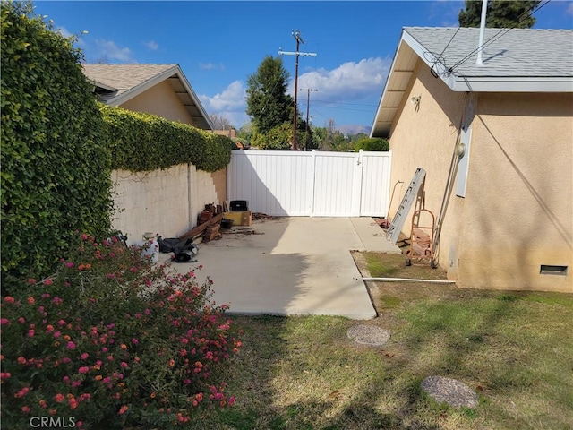 view of yard with a patio