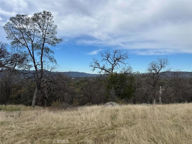 Listing photo 3 for 3270 Wildcat Rd, Mariposa CA 95338