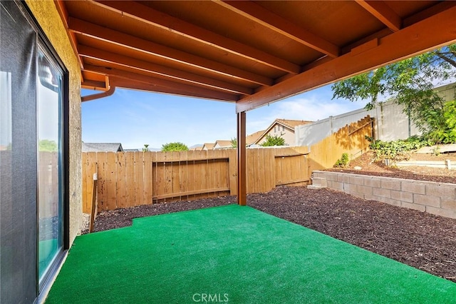 view of yard featuring a patio area