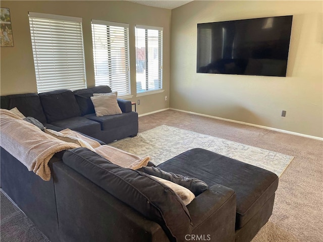 living room with carpet floors