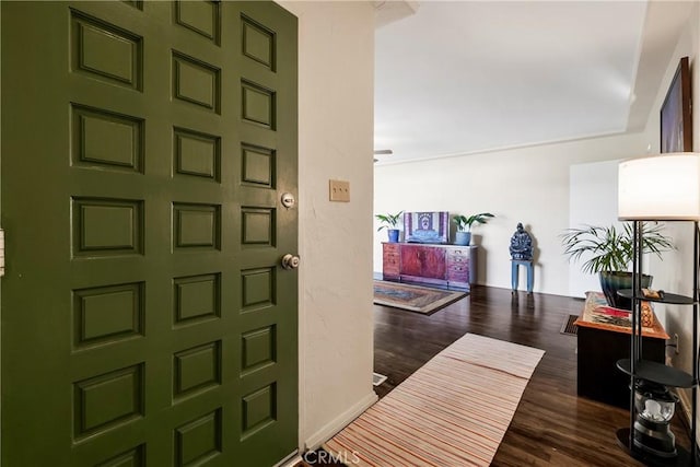 entrance foyer with dark wood-type flooring