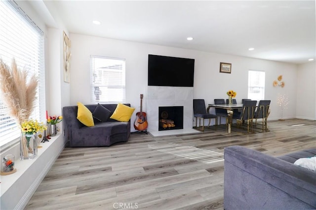 living room with a fireplace and light hardwood / wood-style flooring