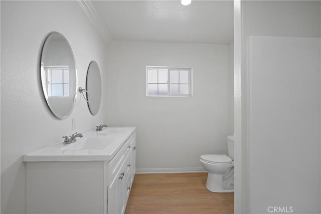 bathroom with wood-type flooring, vanity, and toilet