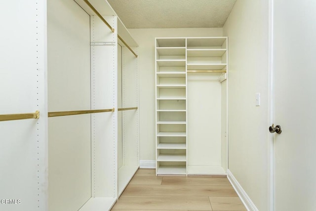 spacious closet with light hardwood / wood-style flooring