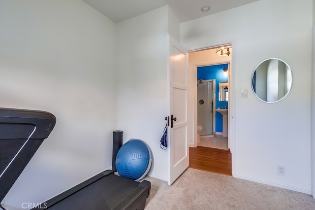 workout area with light carpet