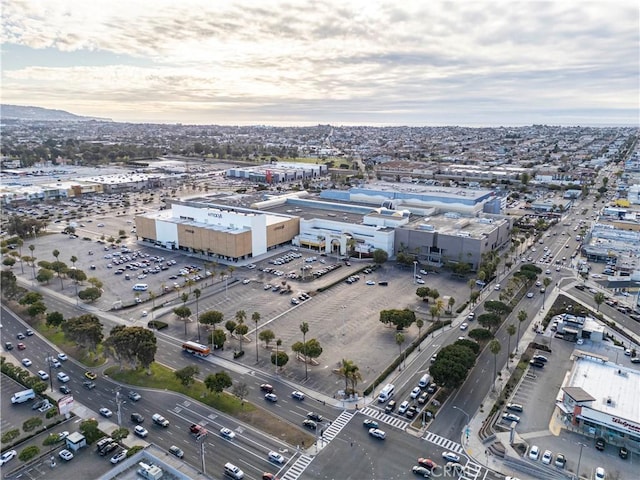 bird's eye view