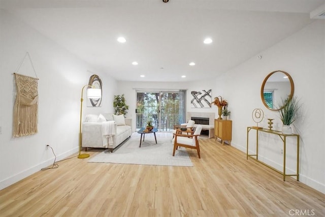 living room with light wood-type flooring