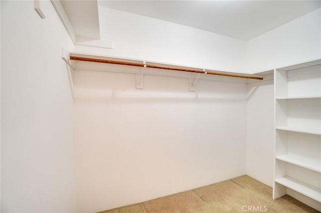 walk in closet with light colored carpet