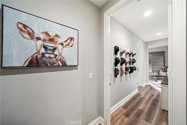 hall featuring dark hardwood / wood-style floors