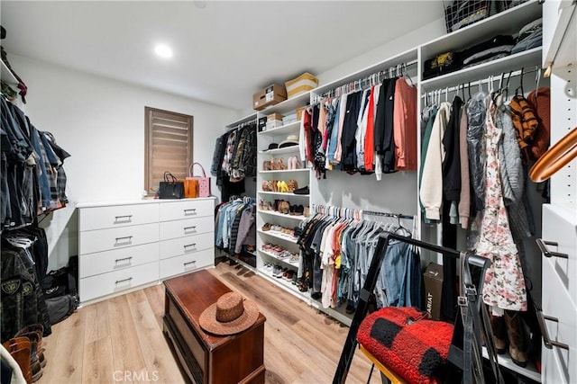 spacious closet featuring light hardwood / wood-style flooring