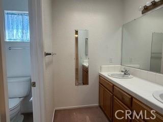 bathroom with vanity and toilet