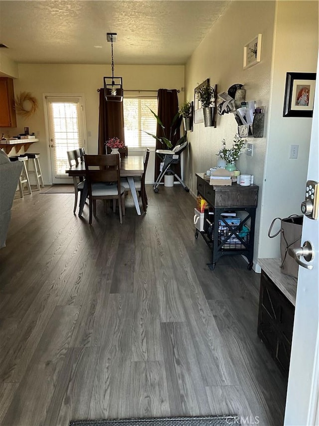 dining room with hardwood / wood-style flooring, a textured ceiling, and a wealth of natural light