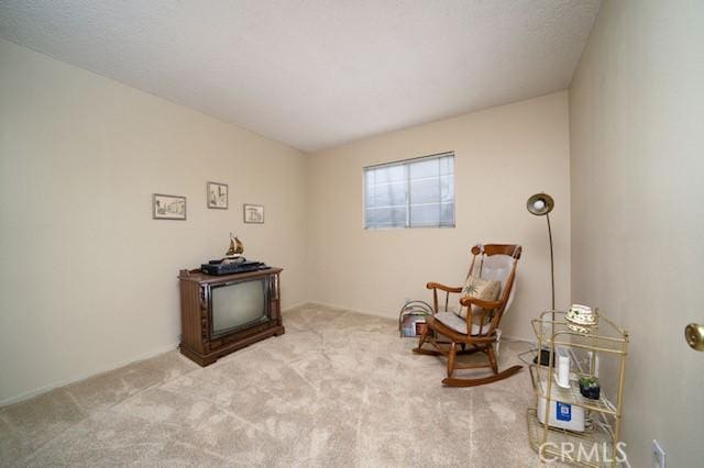 sitting room with carpet