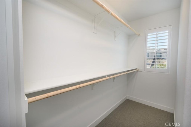 26235 Cherry Plum Cir, Menifee, CA 92584 - spacious closet with carpet floors