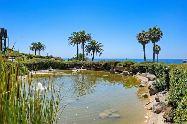 water view