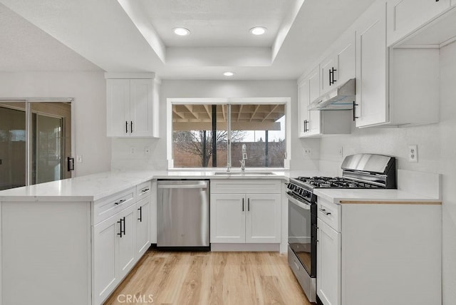 kitchen with stainless steel appliances, a raised ceiling, white cabinets, and kitchen peninsula