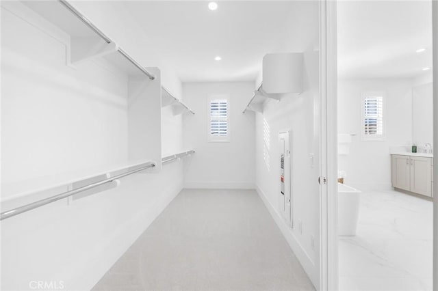 view of spacious closet