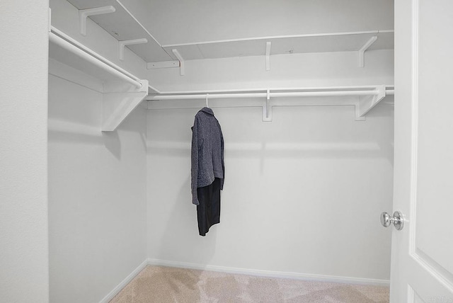 spacious closet with light colored carpet