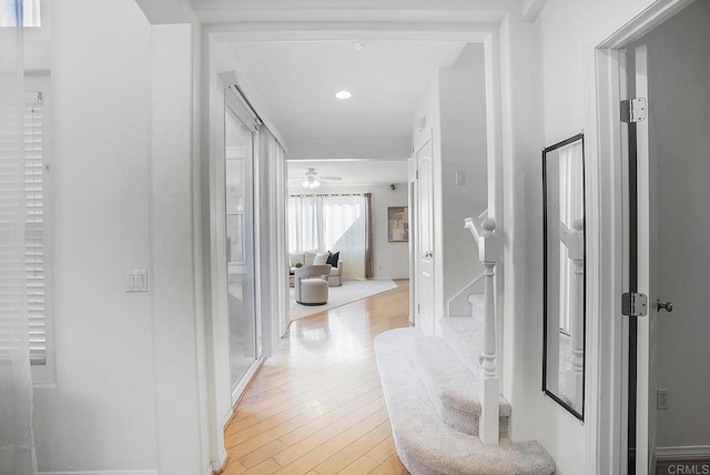 hall featuring light hardwood / wood-style floors