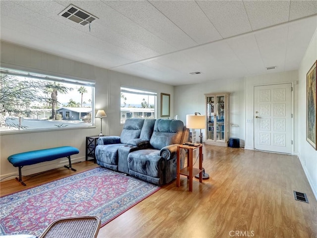 living room featuring hardwood / wood-style flooring