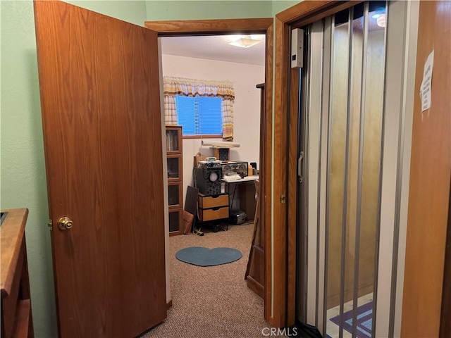 hall featuring carpet flooring