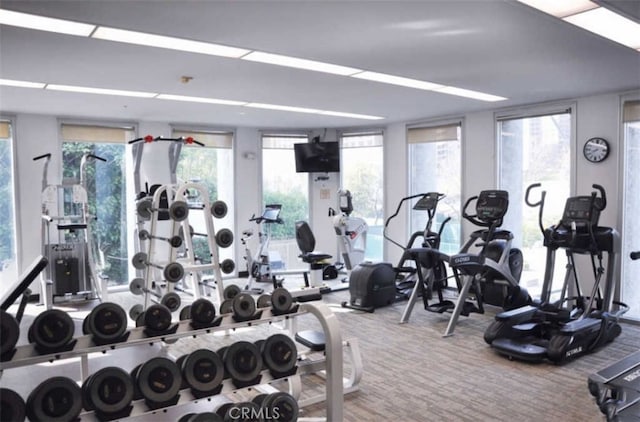 exercise room featuring a wall of windows and carpet