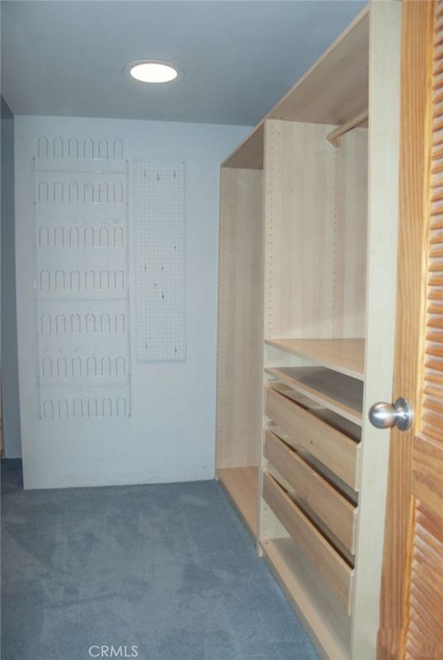 spacious closet with dark carpet