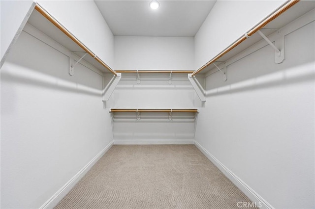 walk in closet featuring light colored carpet