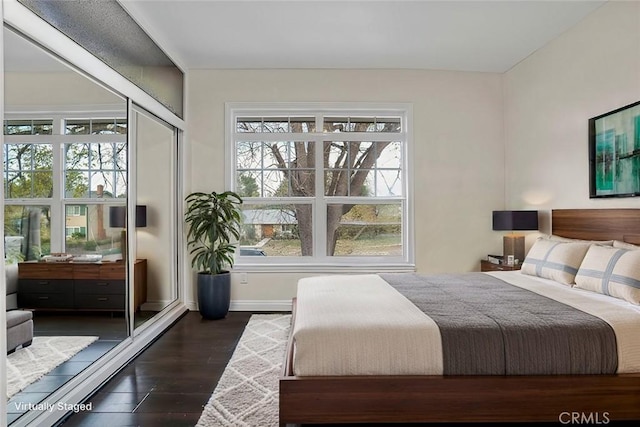 bedroom with multiple windows and dark wood-type flooring