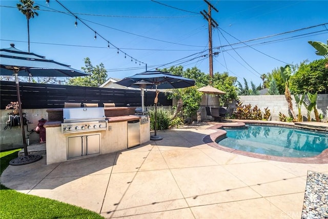 view of swimming pool featuring area for grilling, a patio, and an outdoor kitchen