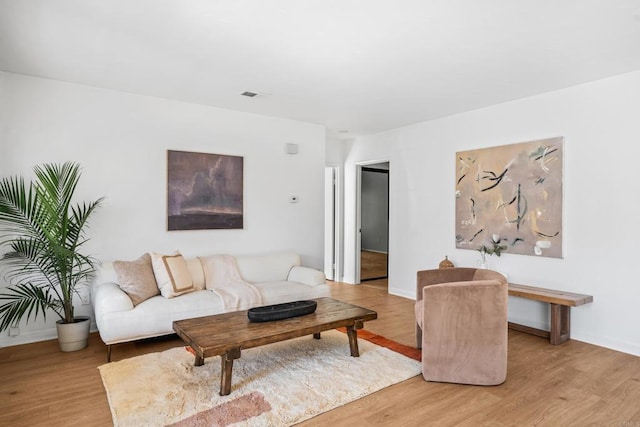 living room featuring wood-type flooring