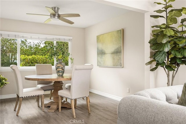 dining area with hardwood / wood-style floors and ceiling fan