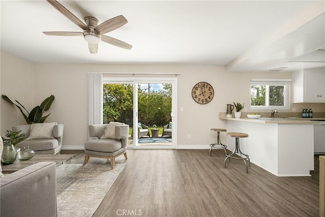 living room featuring hardwood / wood-style flooring and ceiling fan