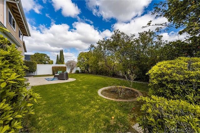 view of yard featuring a patio