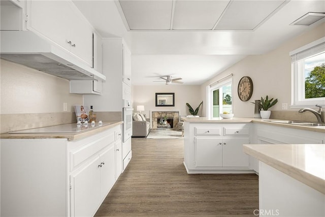 kitchen featuring sink, a wealth of natural light, dark hardwood / wood-style floors, and white cabinets