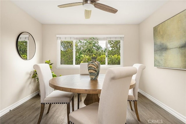 dining room featuring dark wood-type flooring and ceiling fan