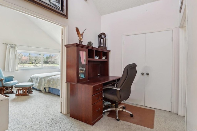 carpeted office with vaulted ceiling