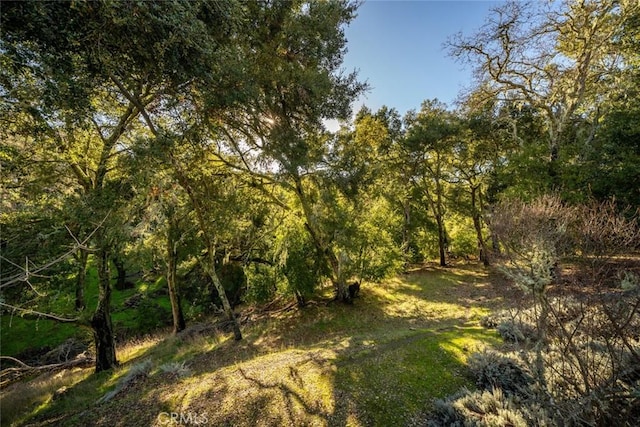 view of landscape with a view of trees
