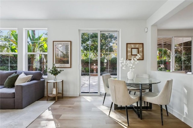 dining room featuring light hardwood / wood-style floors