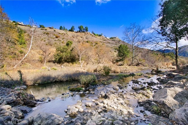 view of local wilderness