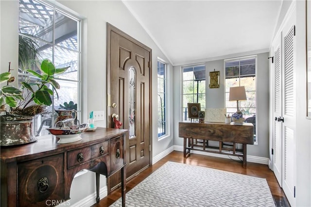 foyer featuring dark wood-type flooring, vaulted ceiling, and a wealth of natural light