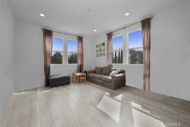 living room featuring plenty of natural light and light wood-type flooring