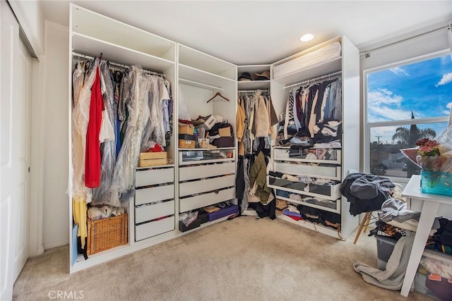 spacious closet with carpet