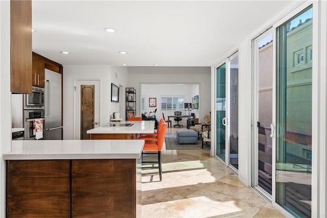 kitchen with appliances with stainless steel finishes, a healthy amount of sunlight, and kitchen peninsula