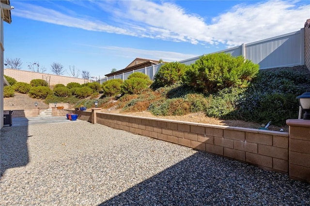 view of yard featuring a patio area