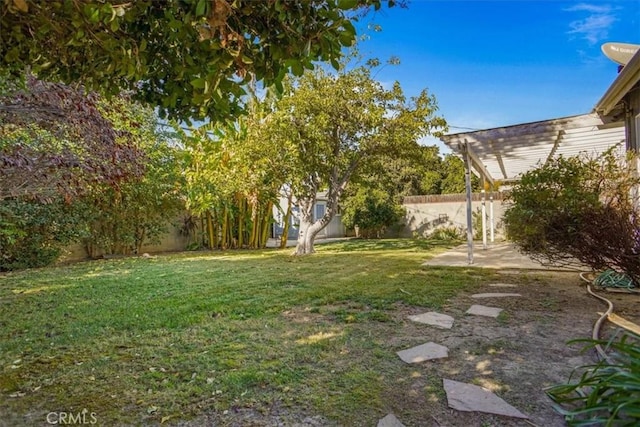 view of yard with a patio area