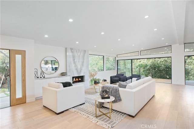 living room featuring a premium fireplace and light hardwood / wood-style flooring