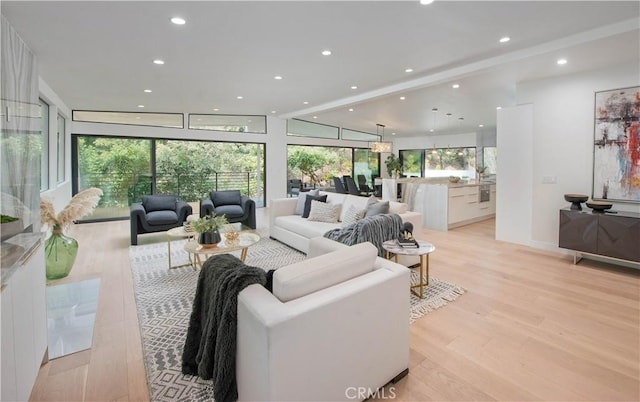 living room featuring lofted ceiling and light hardwood / wood-style floors