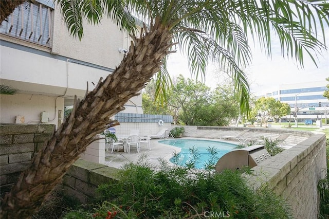 view of swimming pool with area for grilling and a patio area